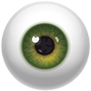 CORNEA-FPO_mobile